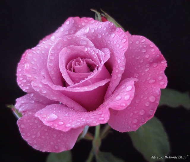 Hechizos para alejar la negatividad